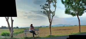 IMG_2748_1stitch Roadside Bench